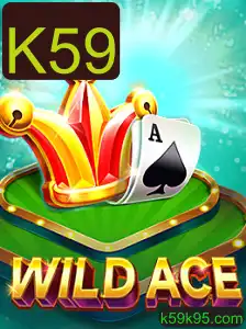 Explorando o Mundo de WildAce: Um Novo Fenômeno no Universo dos Jogos